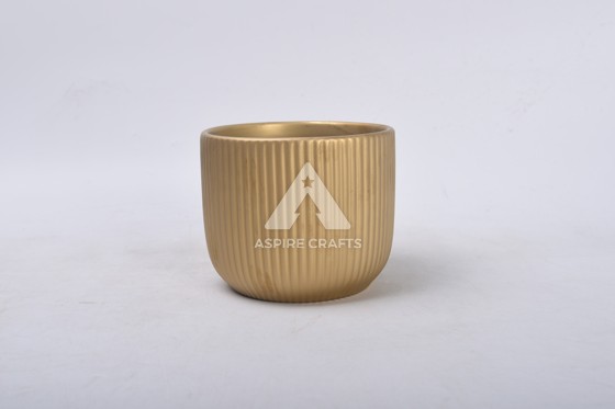 CG-SW007